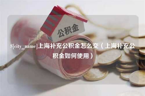 诸城上海补充公积金怎么交（上海补充公积金如何使用）